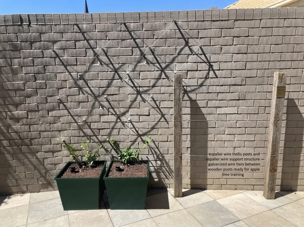 espalier wire trellis posts