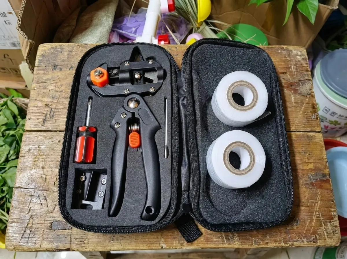 best grafting tools for apple trees including knife, bypass pruners, grafting tape and scion wood